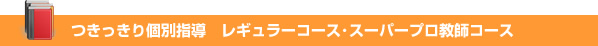 1対２個別指導とことんサポートコース
